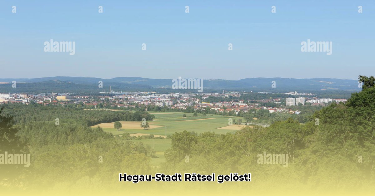 stadt-im-hegau